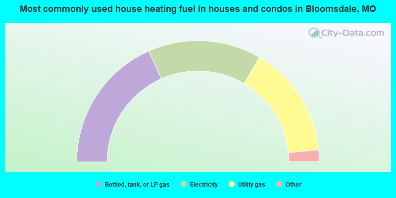 Most commonly used house heating fuel in houses and condos in Bloomsdale, MO