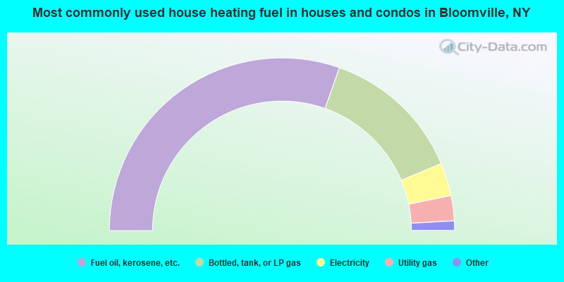 Most commonly used house heating fuel in houses and condos in Bloomville, NY