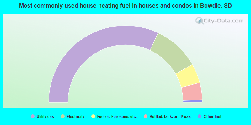 Most commonly used house heating fuel in houses and condos in Bowdle, SD