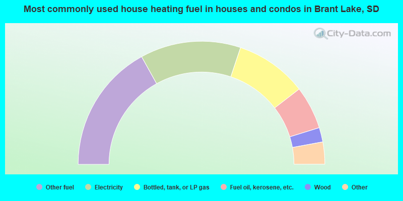 Most commonly used house heating fuel in houses and condos in Brant Lake, SD