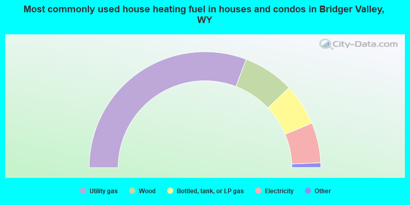Most commonly used house heating fuel in houses and condos in Bridger Valley, WY