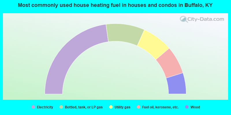 Most commonly used house heating fuel in houses and condos in Buffalo, KY