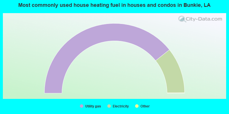 Most commonly used house heating fuel in houses and condos in Bunkie, LA