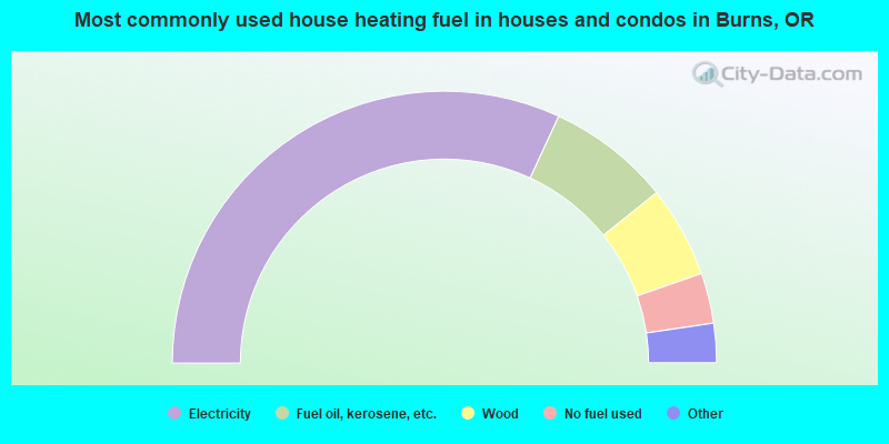 Most commonly used house heating fuel in houses and condos in Burns, OR