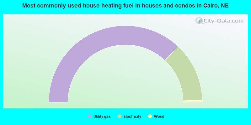 Most commonly used house heating fuel in houses and condos in Cairo, NE