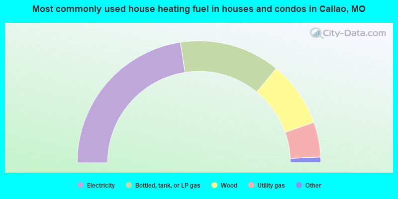 Most commonly used house heating fuel in houses and condos in Callao, MO