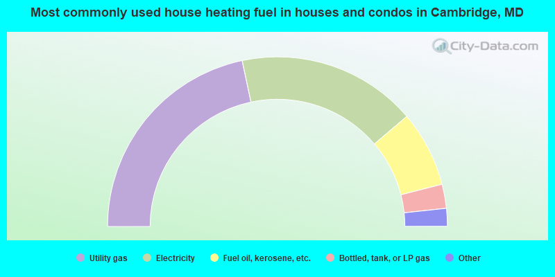Most commonly used house heating fuel in houses and condos in Cambridge, MD