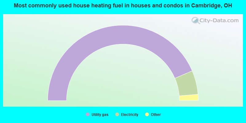 Most commonly used house heating fuel in houses and condos in Cambridge, OH