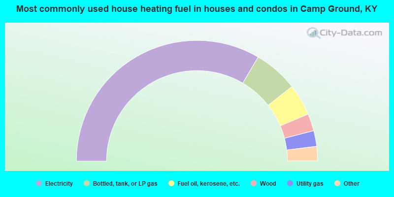 Most commonly used house heating fuel in houses and condos in Camp Ground, KY