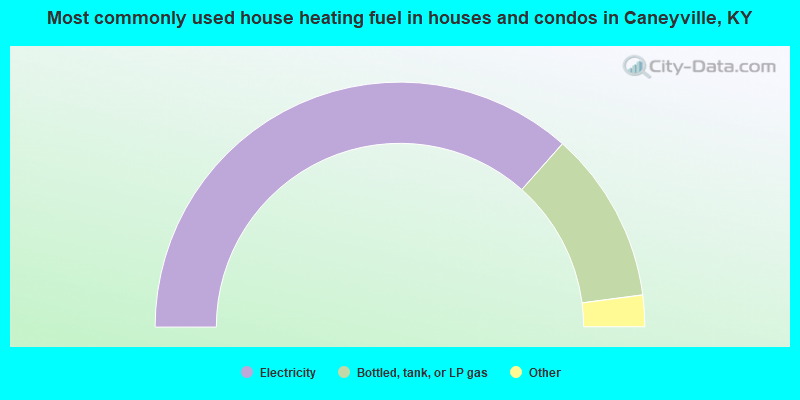 Most commonly used house heating fuel in houses and condos in Caneyville, KY