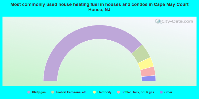 Most commonly used house heating fuel in houses and condos in Cape May Court House, NJ