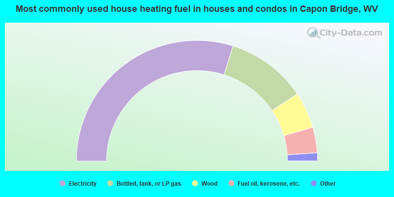 Most commonly used house heating fuel in houses and condos in Capon Bridge, WV