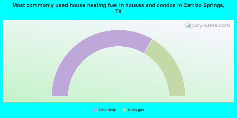 Most commonly used house heating fuel in houses and condos in Carrizo Springs, TX