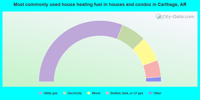 Most commonly used house heating fuel in houses and condos in Carthage, AR