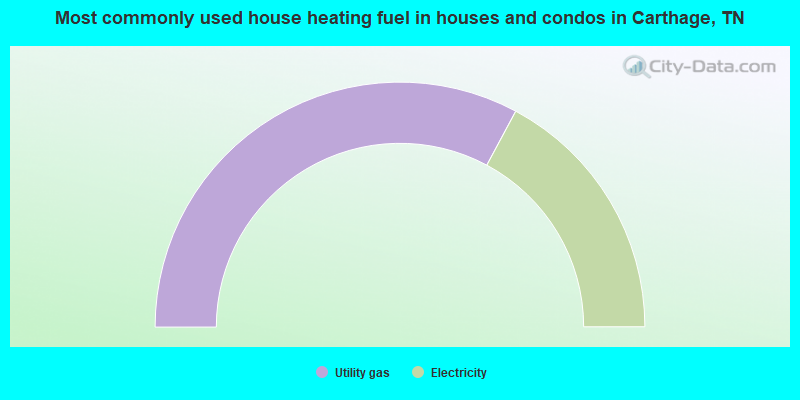 Most commonly used house heating fuel in houses and condos in Carthage, TN