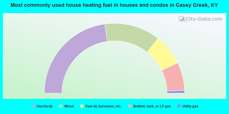 Most commonly used house heating fuel in houses and condos in Casey Creek, KY