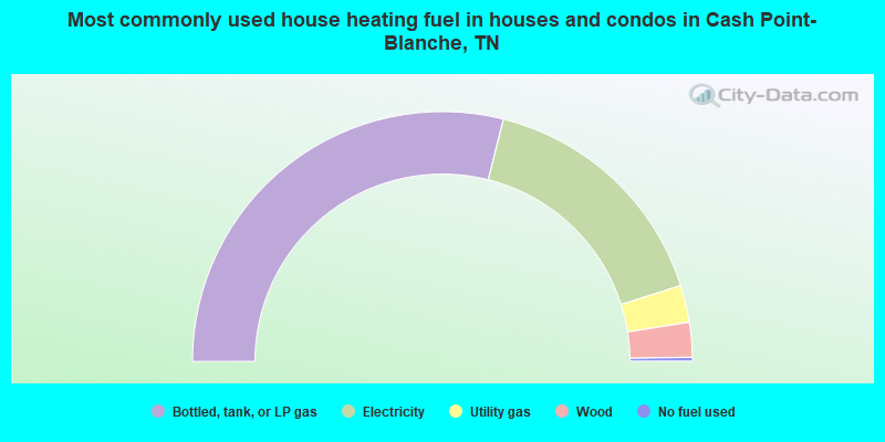 Most commonly used house heating fuel in houses and condos in Cash Point-Blanche, TN