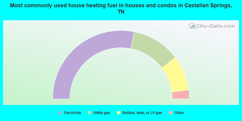 Most commonly used house heating fuel in houses and condos in Castalian Springs, TN