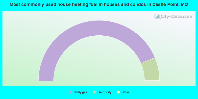 Most commonly used house heating fuel in houses and condos in Castle Point, MO