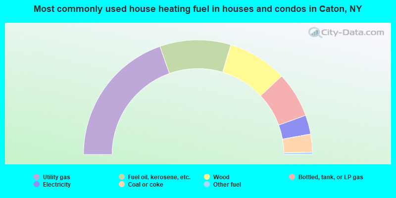 Most commonly used house heating fuel in houses and condos in Caton, NY