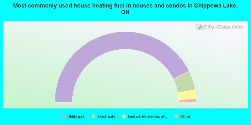 Most commonly used house heating fuel in houses and condos in Chippewa Lake, OH