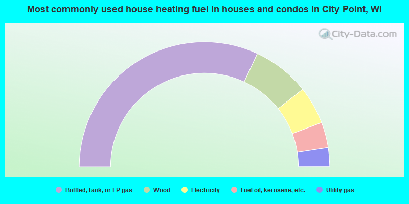 Most commonly used house heating fuel in houses and condos in City Point, WI
