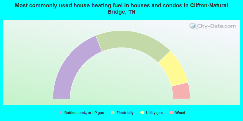 Most commonly used house heating fuel in houses and condos in Clifton-Natural Bridge, TN