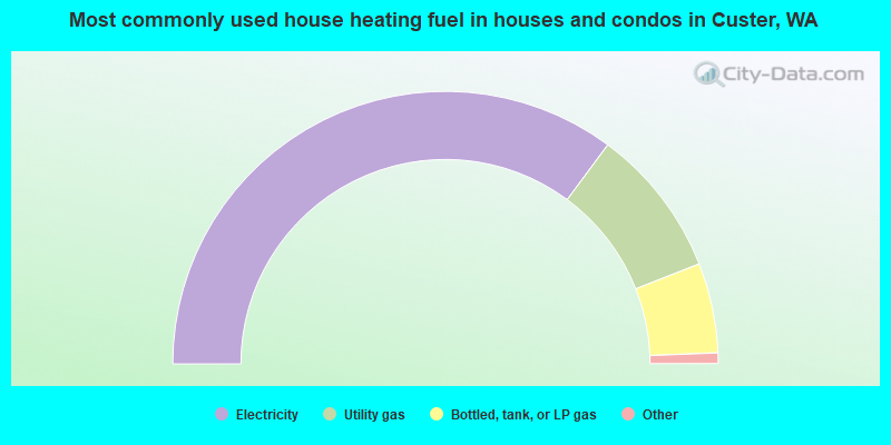 Most commonly used house heating fuel in houses and condos in Custer, WA