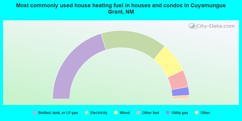 Most commonly used house heating fuel in houses and condos in Cuyamungue Grant, NM