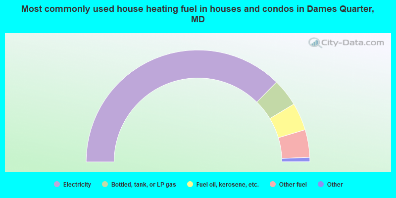 Most commonly used house heating fuel in houses and condos in Dames Quarter, MD