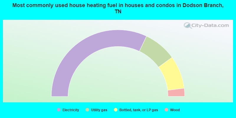 Most commonly used house heating fuel in houses and condos in Dodson Branch, TN