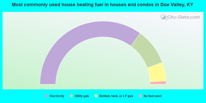 Most commonly used house heating fuel in houses and condos in Doe Valley, KY