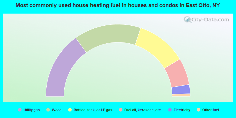 Most commonly used house heating fuel in houses and condos in East Otto, NY