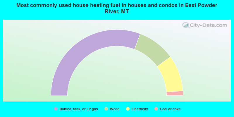 Most commonly used house heating fuel in houses and condos in East Powder River, MT