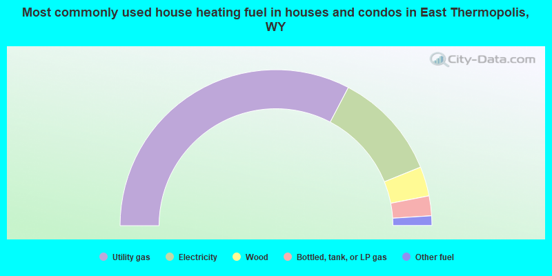 Most commonly used house heating fuel in houses and condos in East Thermopolis, WY