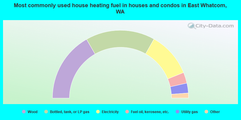 Most commonly used house heating fuel in houses and condos in East Whatcom, WA