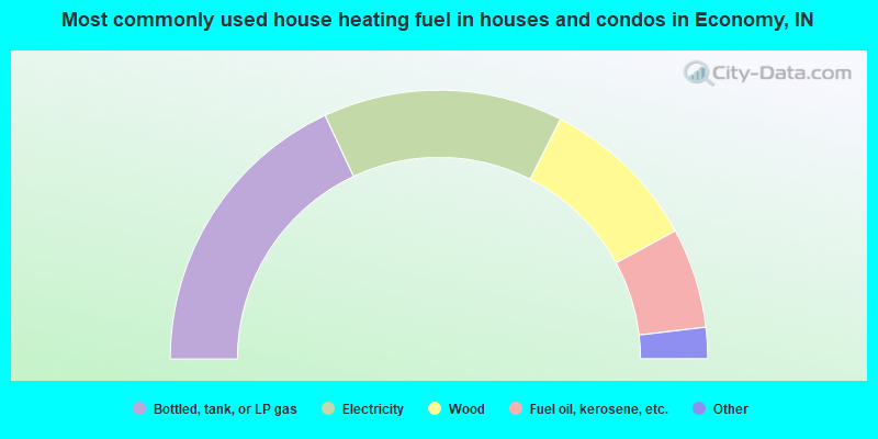 Most commonly used house heating fuel in houses and condos in Economy, IN