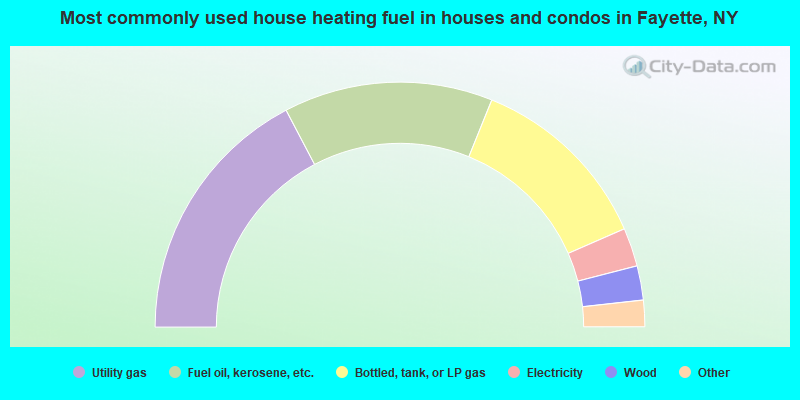 Most commonly used house heating fuel in houses and condos in Fayette, NY