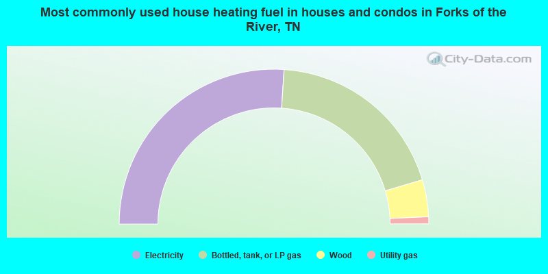 Most commonly used house heating fuel in houses and condos in Forks of the River, TN