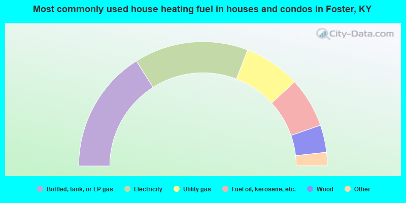 Most commonly used house heating fuel in houses and condos in Foster, KY