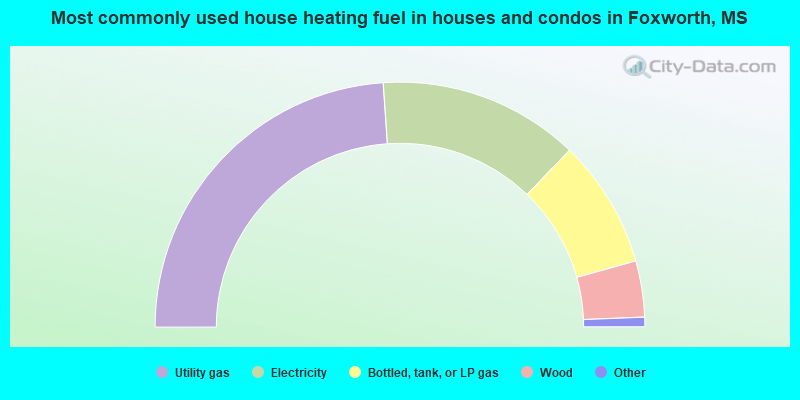 Most commonly used house heating fuel in houses and condos in Foxworth, MS