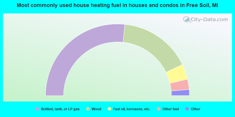 Most commonly used house heating fuel in houses and condos in Free Soil, MI