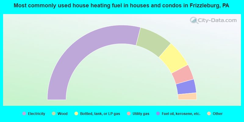 Most commonly used house heating fuel in houses and condos in Frizzleburg, PA