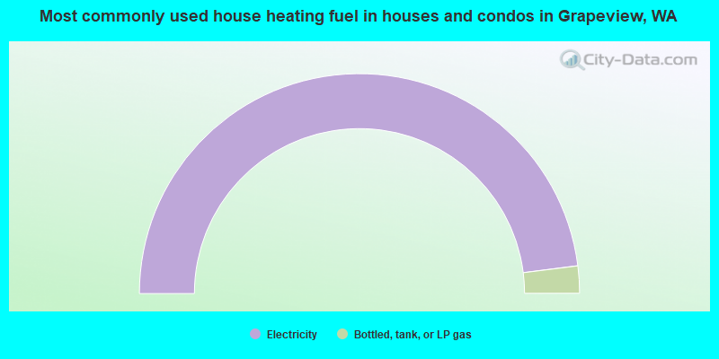 Most commonly used house heating fuel in houses and condos in Grapeview, WA