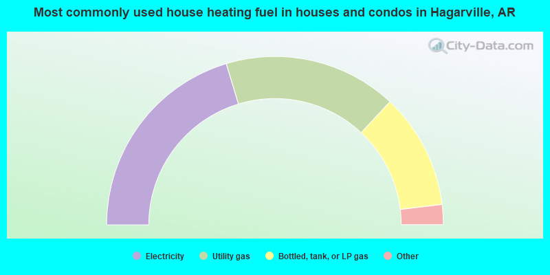Most commonly used house heating fuel in houses and condos in Hagarville, AR