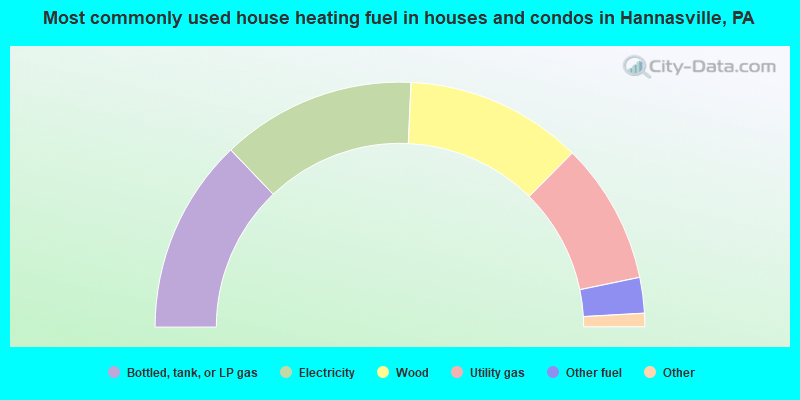Most commonly used house heating fuel in houses and condos in Hannasville, PA
