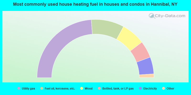Most commonly used house heating fuel in houses and condos in Hannibal, NY