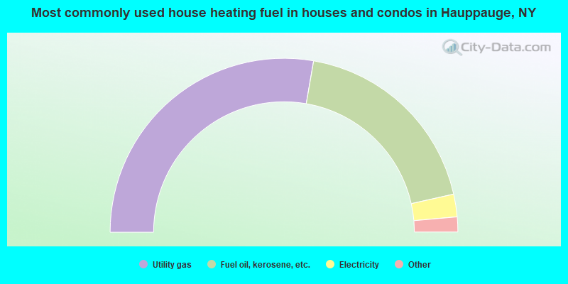 Most commonly used house heating fuel in houses and condos in Hauppauge, NY