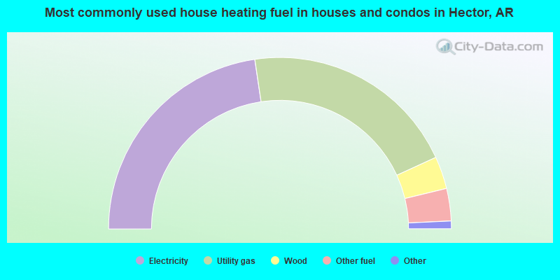 Most commonly used house heating fuel in houses and condos in Hector, AR