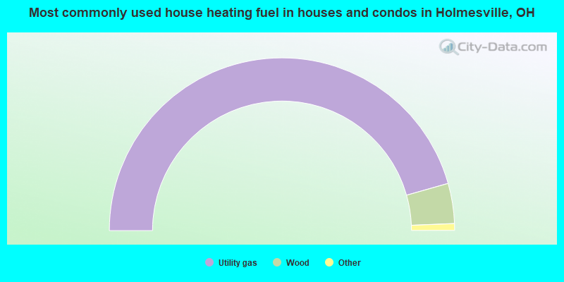 Most commonly used house heating fuel in houses and condos in Holmesville, OH